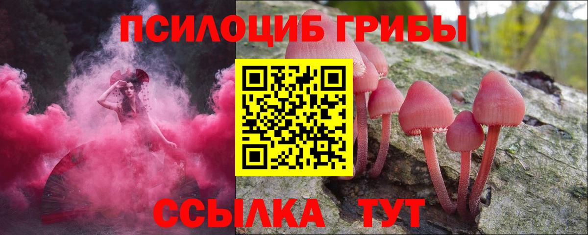 Шатура  Галлюциногенные грибы прущие грибы  Вход с VPN  Галлюциногенные грибы Magic Shrooms 