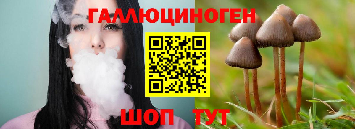Галлюциногенные грибы GOLDEN TEACHER Шатура